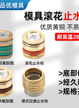 滚花模具止水栓铜堵头水柱塞水路塞头运水堵头内六角铜水堵塞水嘴