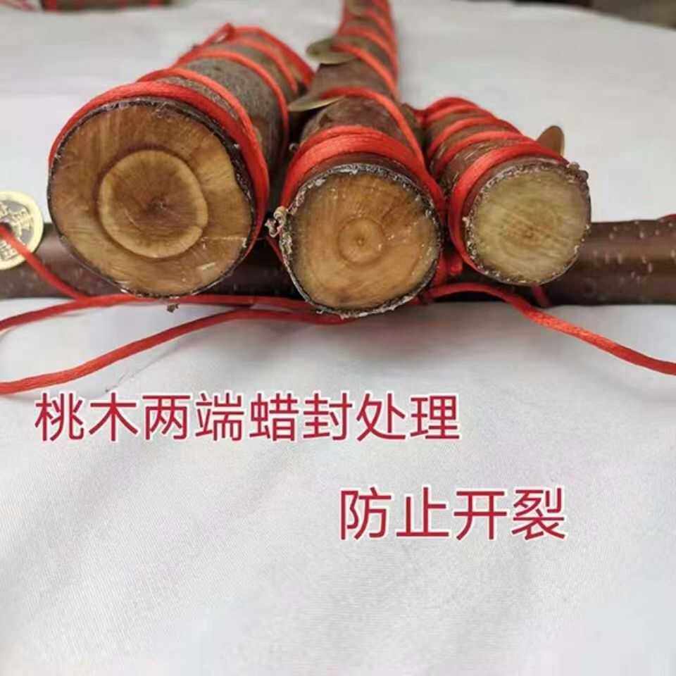 东南老桃木原木桃枝桃婴儿桃木枝五帝钱挂件枝条棍野生搬家摆件