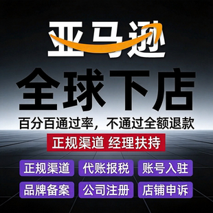 代入驻亚马逊全球开店代办入驻一对一指导下店及注册申请营业执照