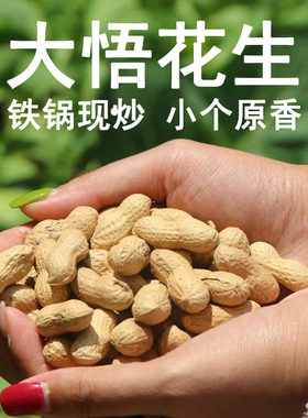 湖北孝感大悟随州广水土特产原味铁锅沙炒花生小个带壳香脆现炒货