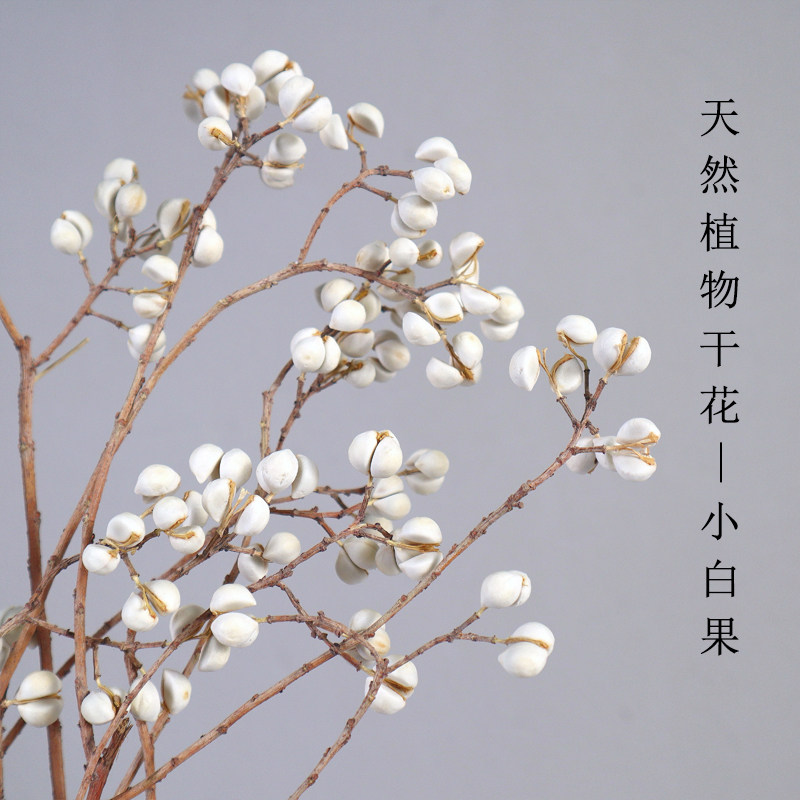真花干花客厅摆设天然风干 ins轻奢永生花小花束小白果装饰品摆件