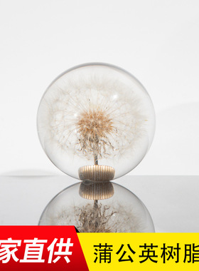 蒲公英树脂球  亚克力圆球 游戏机圆球 龙珠钥摆件 树脂手柄球