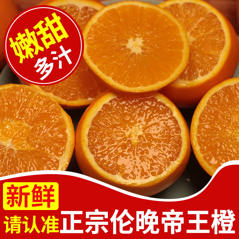 伦晚脐橙正宗春橙湖北秭归现摘整箱10斤孕妇应季当季新鲜水果包邮