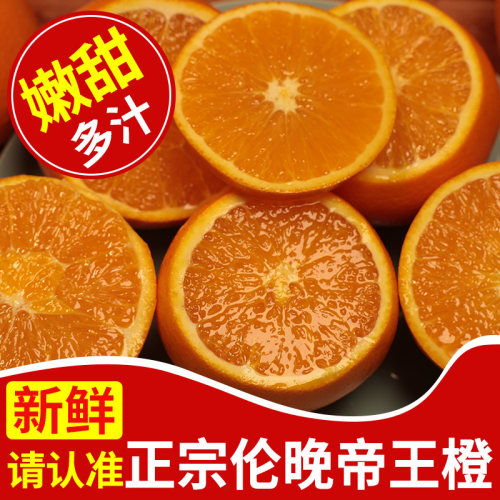 伦晚脐橙正宗春橙湖北秭归现摘整箱10斤孕妇应季当季新鲜水果包邮