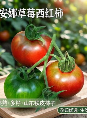 戴安娜草莓西红柿自然熟多籽山东铁皮柿子生吃孕妇新鲜水果番茄SF