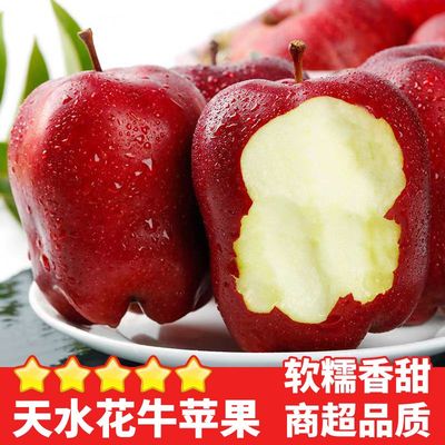 粉面沙甜正宗天水花牛苹果