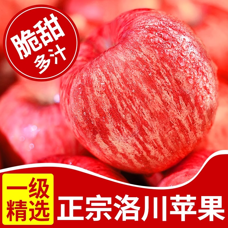 2025新果正宗洛川苹果红富士脆甜