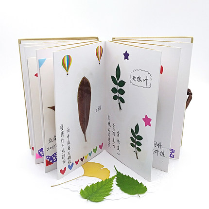 干花真树叶标本册折叠式小学生 植物标本收集册风景画DIY手工制作