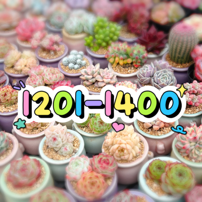 1201-1400两单包邮偏远除外