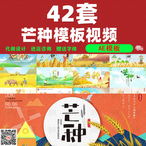 创意二十四节气芒种24传统节日宣传插画视频素材AE片头模板代素材