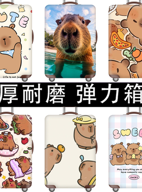 行李箱保护套外罩耐磨加厚弹力男女开学旅行箱子卡皮巴拉