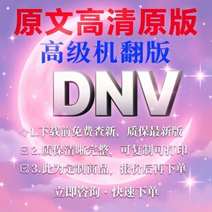 DNV 挪威船级社标准 专业 外文 英文 标准 翻译 中文服务人工翻译