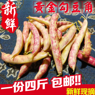 东北油豆角新鲜黄金勾豆角鼓豆豆角勾勾黄豆角兔子翻白眼4斤包邮