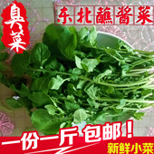 正宗东北蘸酱小菜新鲜臭菜农家自种新鲜蔬菜大叶臭菜蘸酱生吃小菜