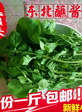 东北蘸酱菜新鲜臭菜大叶臭菜