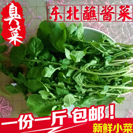 正宗东北蘸酱小菜新鲜臭菜农家自种新鲜蔬菜大叶臭菜蘸酱生吃小菜
