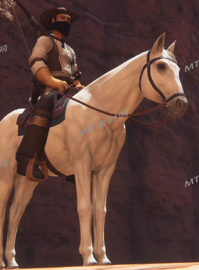 UE5虚幻5次世代写实动物马生物角色动画模型Horse Animset