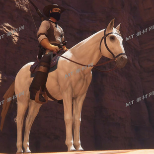 UE5虚幻5次世代写实动物马生物角色动画模型Horse Animset