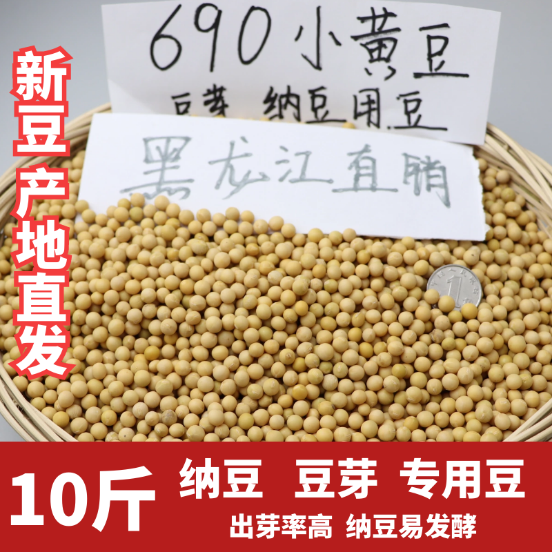 2023新粮非转基因小粒黄豆690生发豆芽纳豆专用黄豆浆10斤小黄金 粮油调味/速食/干货/烘焙 黄豆 原图主图