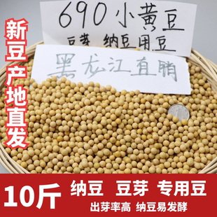 向南飛新糧小粒黃豆690生發豆芽納豆專用黃豆漿10斤小黃金