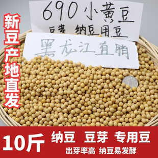 2023新粮非转基因小粒黄豆690生发豆芽纳豆专用黄豆浆10斤小黄金