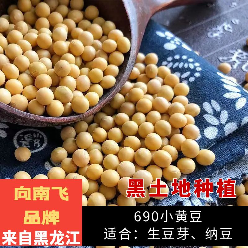 向南飞东北新货生发黄豆芽专用690极小粒黄豆纳豆小黄金豆