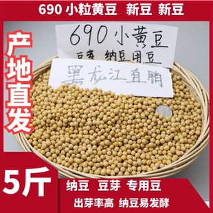 向南飛新糧極小粒690黃豆生發(fā)豆芽納豆專用小黃金黃豆?jié){5斤