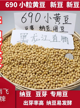 690小粒生豆芽黄豆小黄金黄豆做