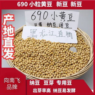 向南飞品牌东北新货生发黄豆芽专用690极小粒小黄豆纳豆小黄金豆