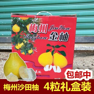 送礼广东梅州沙田柚梅县金柚沙甜柚子新鲜水果4个纯甜四粒礼盒装