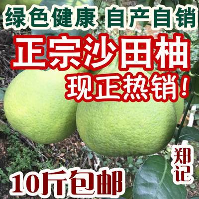 包邮沙田柚梅州沙田柚金柚