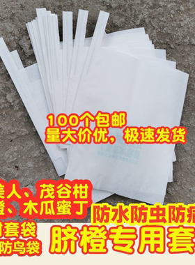 柑橘枇杷纸袋橙子不知火春见