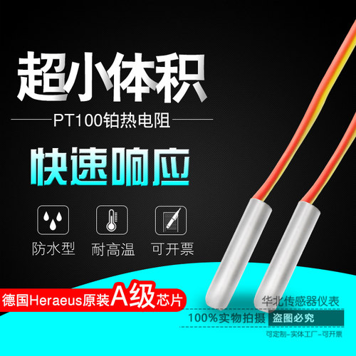 PT100小尺寸1mm铂热电阻探头