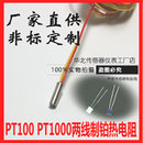 pt100感温线 pt100热电阻温度传感器微型热电偶两线探头防水wzp