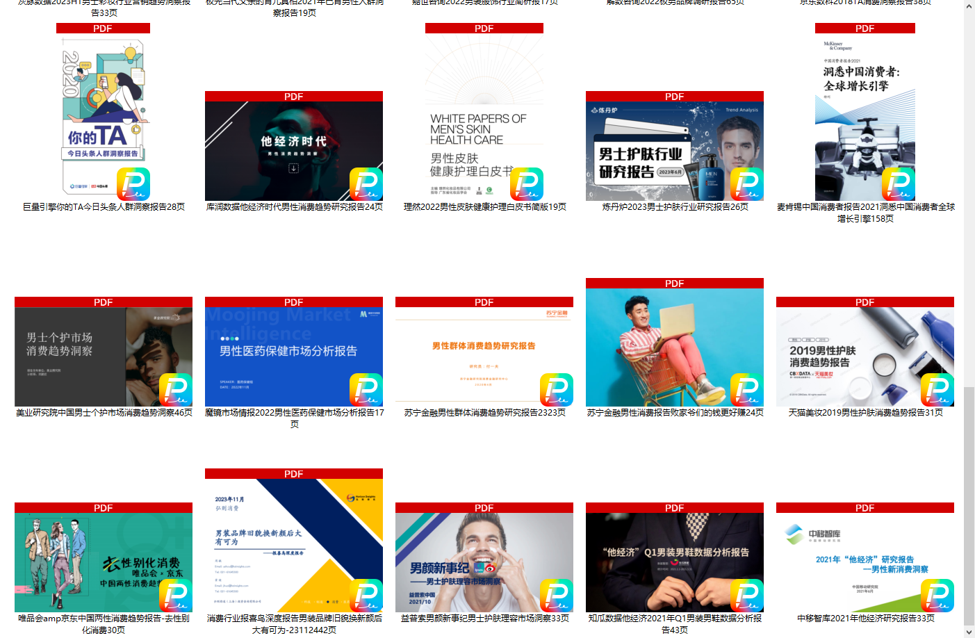 2024年他经济男装男鞋男性消费男士美妆护肤报告合集