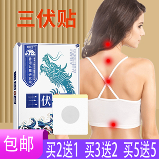 【2送1】周佑王三伏贴三伏保健贴艾叶白芥子花椒细辛牛黄干姜肉桂