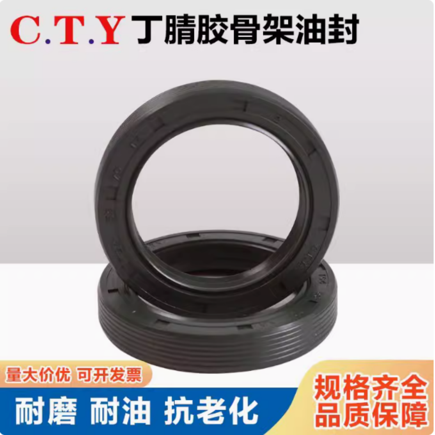 CTY德国橡胶耐高温耐磨骨架油封
