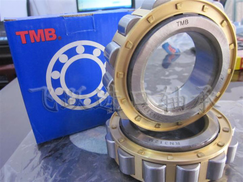 TMB天马减速机轴承RN204 205 206 207 208 209 307 308 309 312M