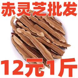 灵芝片500克包邮东北长白山林芝灵芝切片赤灵芝片泡水灵芝茶