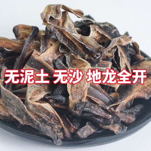 正品 材地龙干蚯蚓穿地龙串地龙广地龙 500克包邮无增重地龙