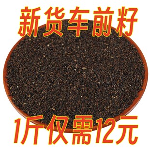 中药材新货正品车前子车钱子车前草籽 车前实500克包邮产地直销