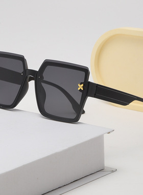 保罗雷朋官网2025款太阳镜时尚韩版大框女士墨镜大脸显瘦脸小方框