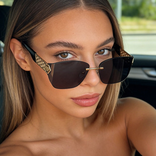 保罗雷朋官网新款 太阳眼镜高端潮流墨镜女高 跨境墨镜无框切边男士