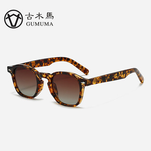 保罗雷朋官网日系小众玳瑁框茶色墨镜偏光男款 插芯镜腿复古小 时尚