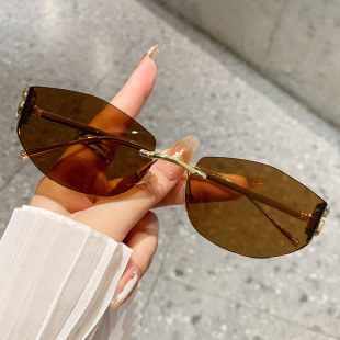 保罗雷朋官网新款 墨镜 跨境眼镜太阳镜豹子头配件无框切边异形个性