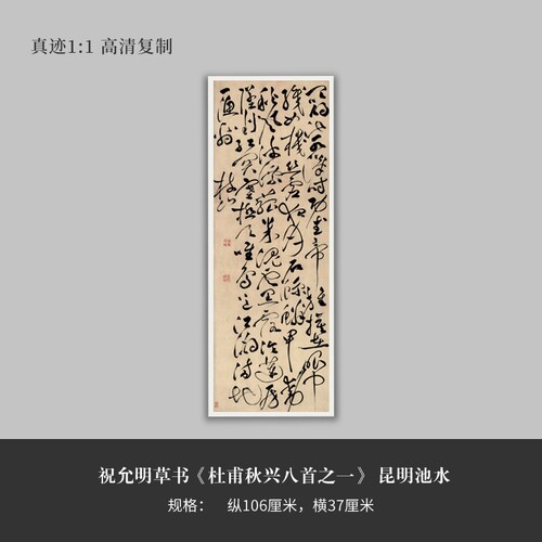 祝允明草书杜甫高清毛笔书法