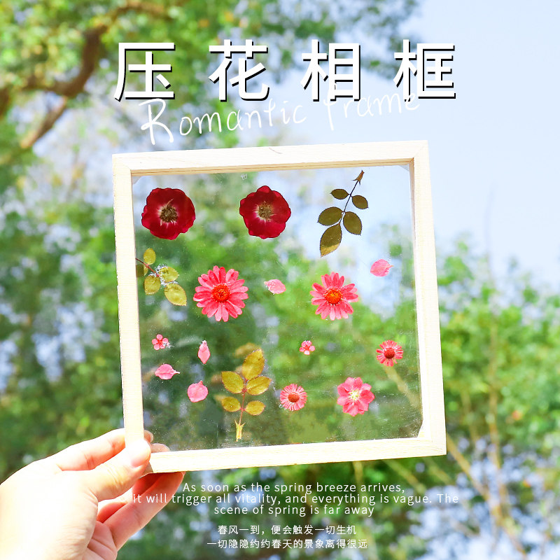 儿童diy亚克力相框干花标本材料幼儿园手工实木透明彩绘树叶画框