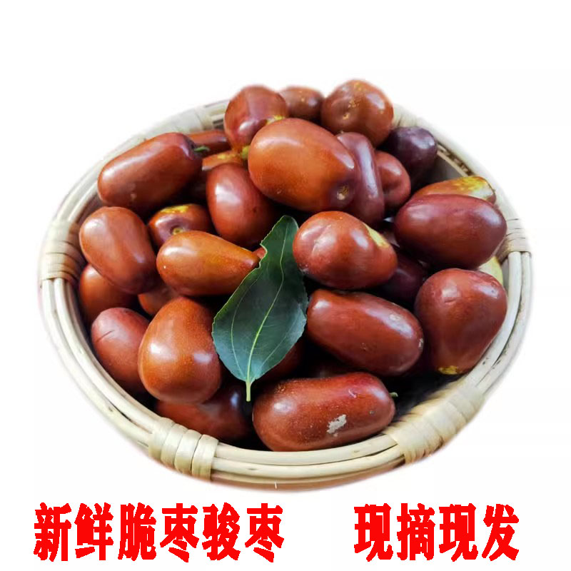 鲜脆枣山西吕梁黄河滩枣骏枣柳林大红枣5斤应季水果现摘现发孕妇