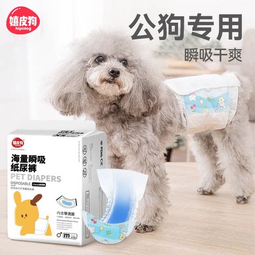 公狗专用纸尿裤狗狗尿不湿泰迪博美小型犬嬉皮狗宠物生理裤礼貌带
