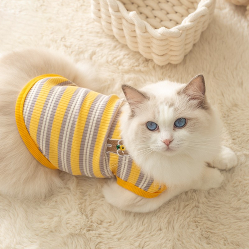 小猫咪专用针织背心#舒适+防掉毛